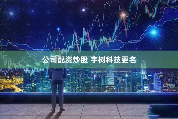 公司配资炒股 宇树科技更名