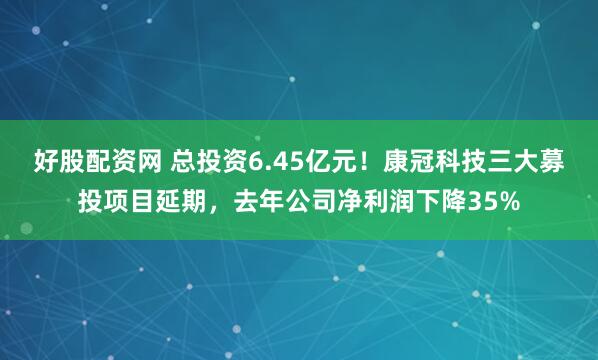 好股配资网 总投资6.45亿元！康冠科技三大募投项目延期，去年公司净利润下降35%
