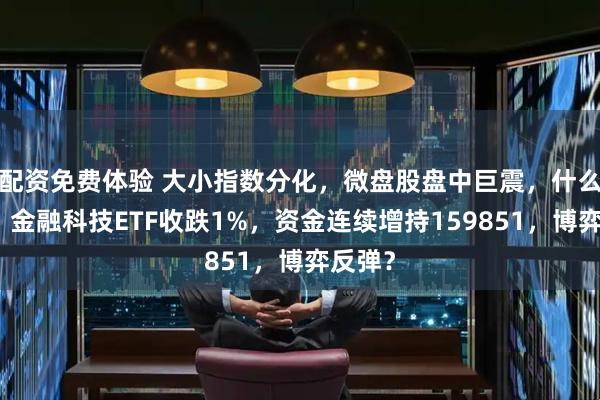 配资免费体验 大小指数分化，微盘股盘中巨震，什么原因？金融科技ETF收跌1%，资金连续增持159851，博弈反弹？